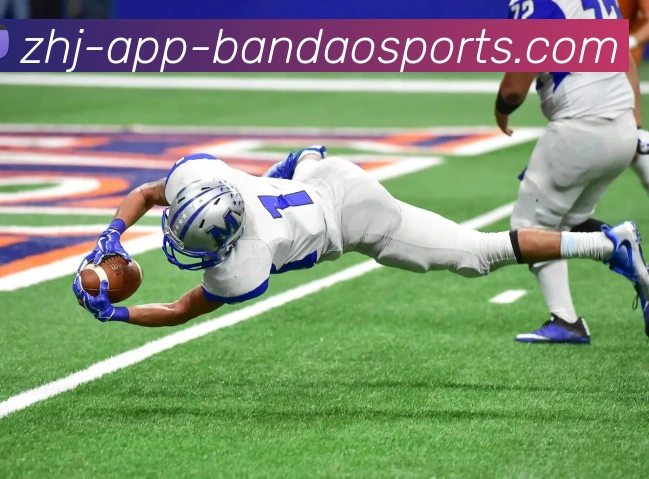 NBA国王队球员名单：盘点NBA国王队本赛季的球员阵容与变化